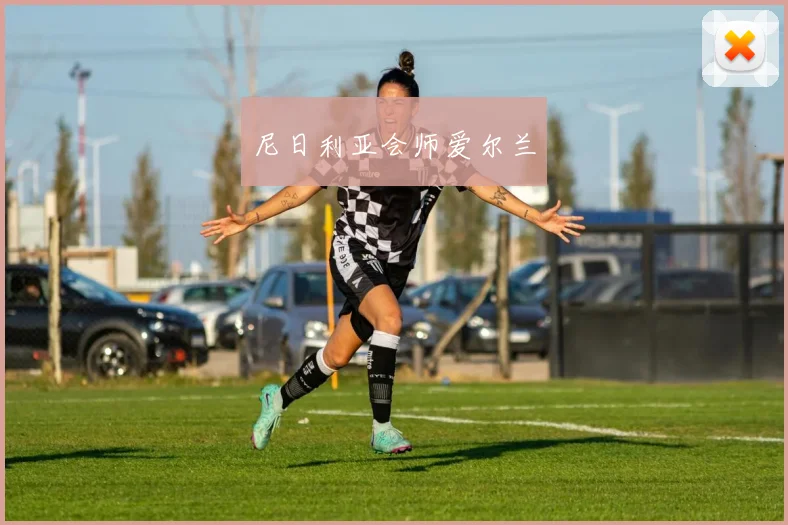 尼日利亚会师爱尔兰
